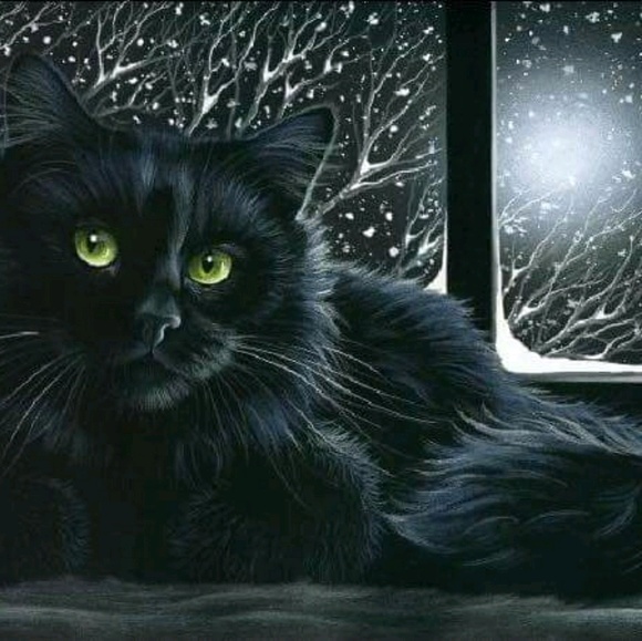 Meet your Posher, Jennifer - Picture 1 of 1